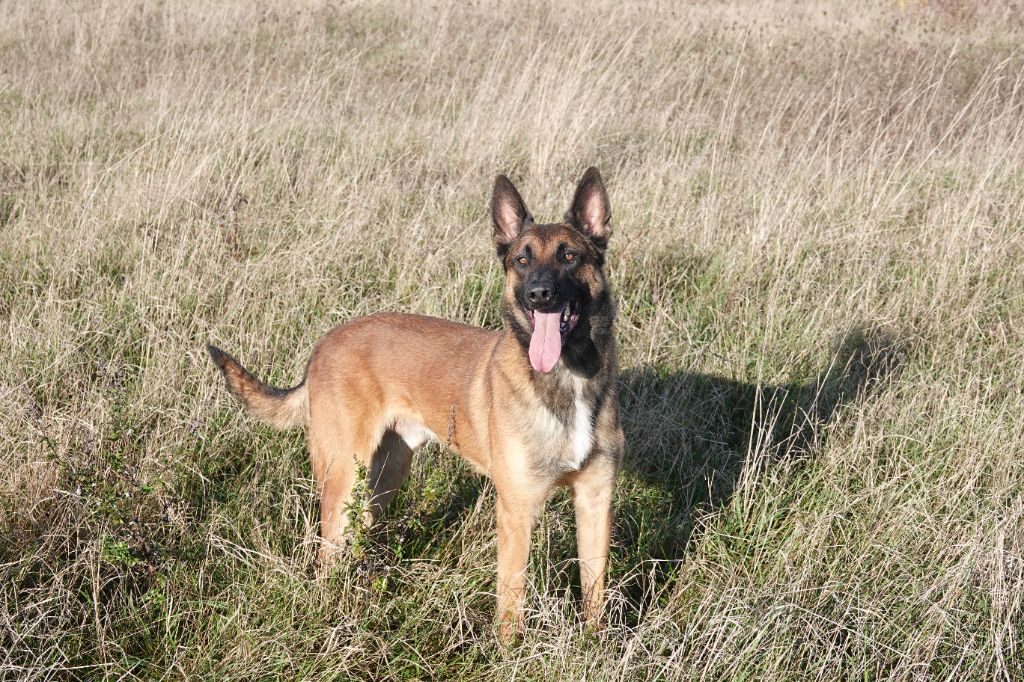 Riddick Du Bois De Gal